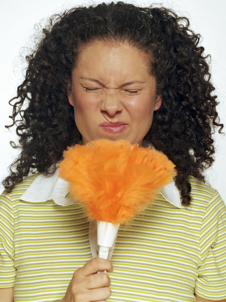 Woman With a Feather Duster