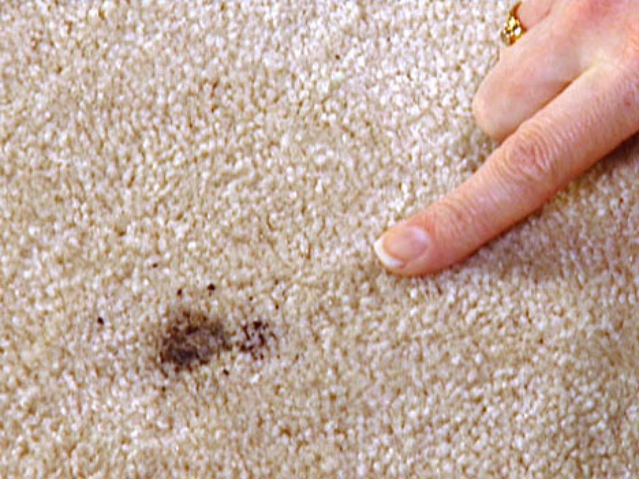 How to Repair Carpet  HGTV