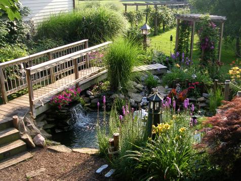 Water Garden Design