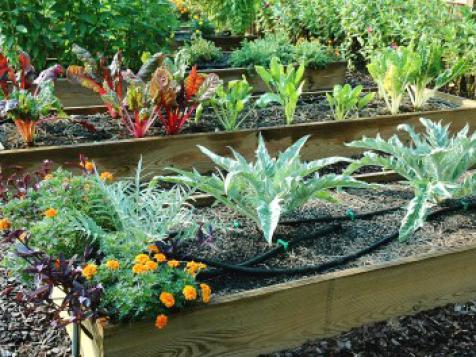 Tips for Raised Beds