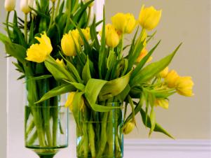 two tulip vases