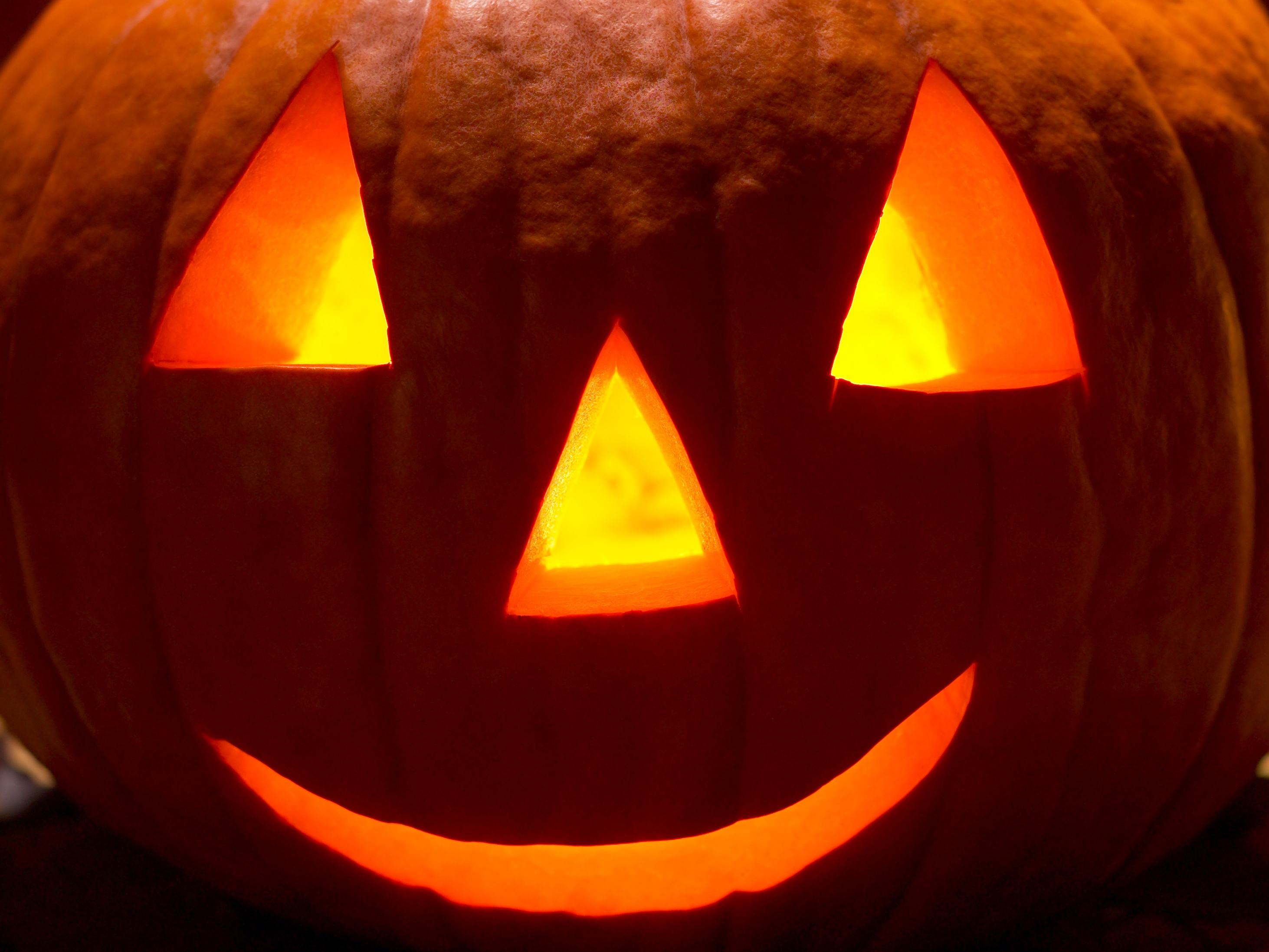 Halloween Pumpkin Jack o lantern Face Bath Throw Rug Cotton Orange 24” NWT $30 