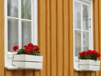 Red Flowers in White Window Boxes