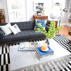 Modern Living Room With Black and White Rug