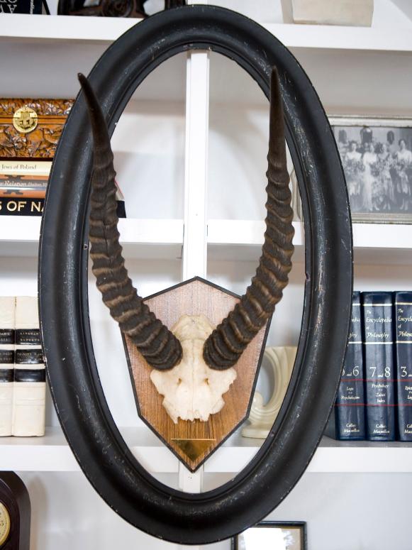 HDSW1_Living-Room-Bookshelves-Close-Up-Antlers_s3x4