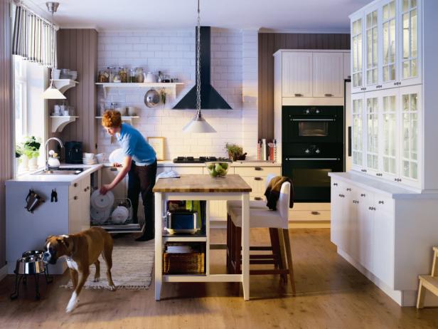 RX-IKEA_PE251266-kitchen-with-dog_s4x3