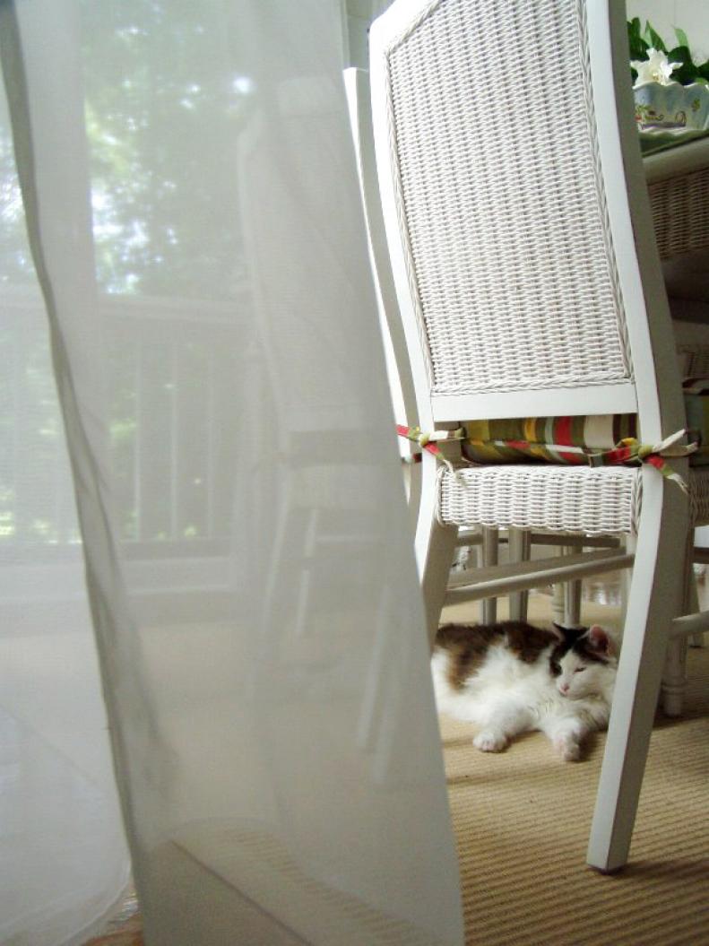 Cat sleeping under patio chair