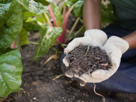 Can You Mix Potting Soil With Garden Soil?