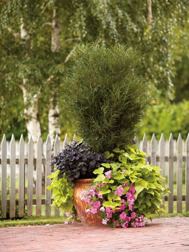 modern hanging planter Hanging Chandelier Planter with Drainage – Rosebud HomeGoods main image 1