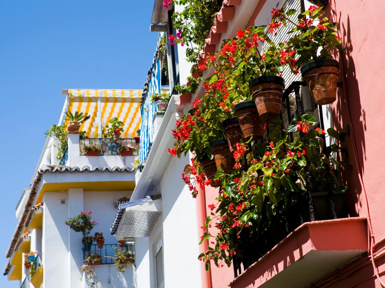 How To Grow A Balcony Garden Hgtv