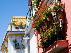 Spanish Balcony Gardens Replete with Potted Plants and Greenery