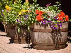 Roll out the barrels for a different type of container gardening.