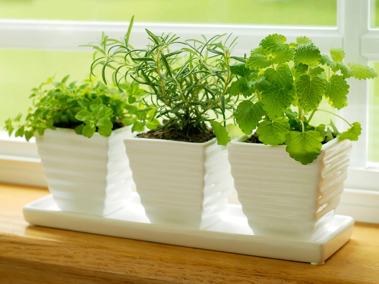 herb planter box kitchen