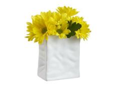 Bag Flower Vase