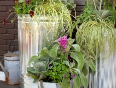 Trash Can Container Garden