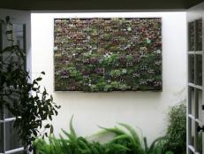 Succulent Garden Wall Hanging as Outdoor Wall Art