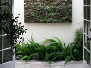 Wall Art with Plants