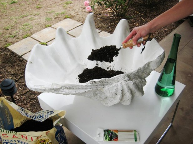 Fill container halfway with potting soil.