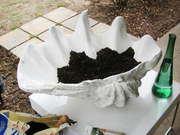 Fill container halfway with potting soil.