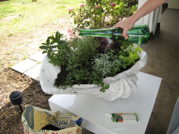 Watering Herb Container Garden