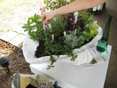 Budget Friendly Patio Container Herb Garden - Organized-ish