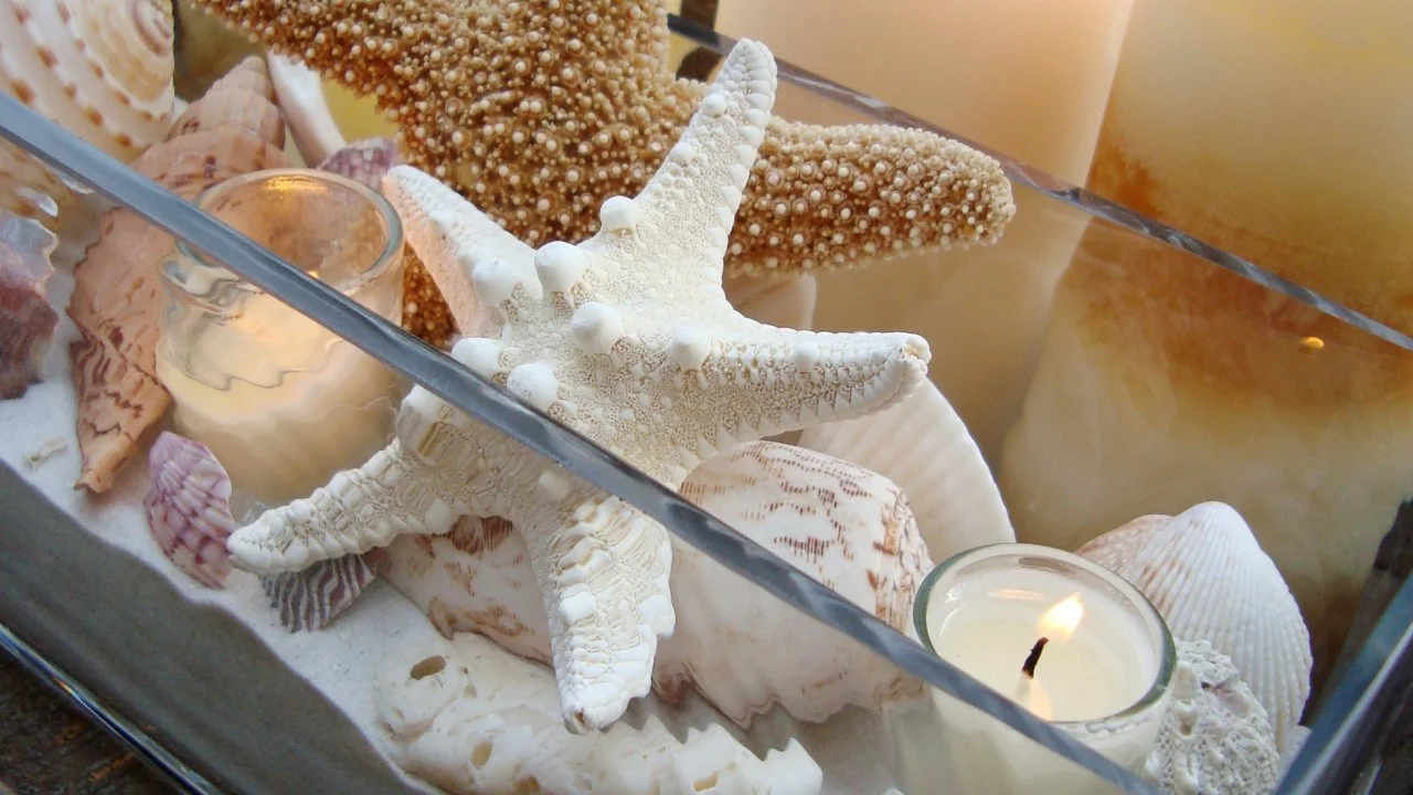 Seashell Centerpiece Ideas