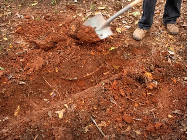 Using a shovel dig a trench that is six inches wide to make a drainage ditch.