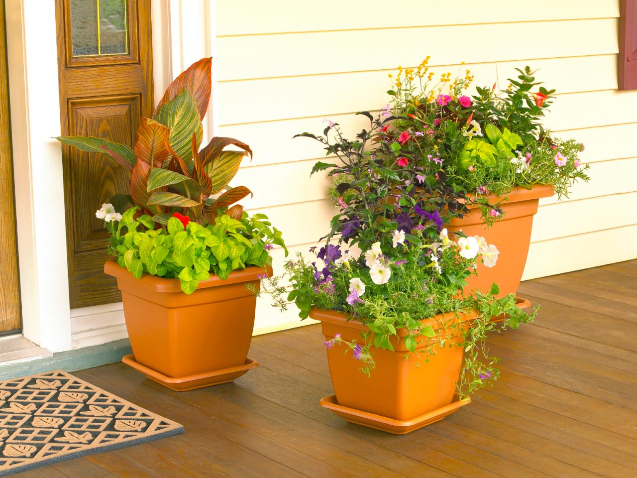 How To Design A Container Garden Hgtv - Porch Potted Plant Ideas