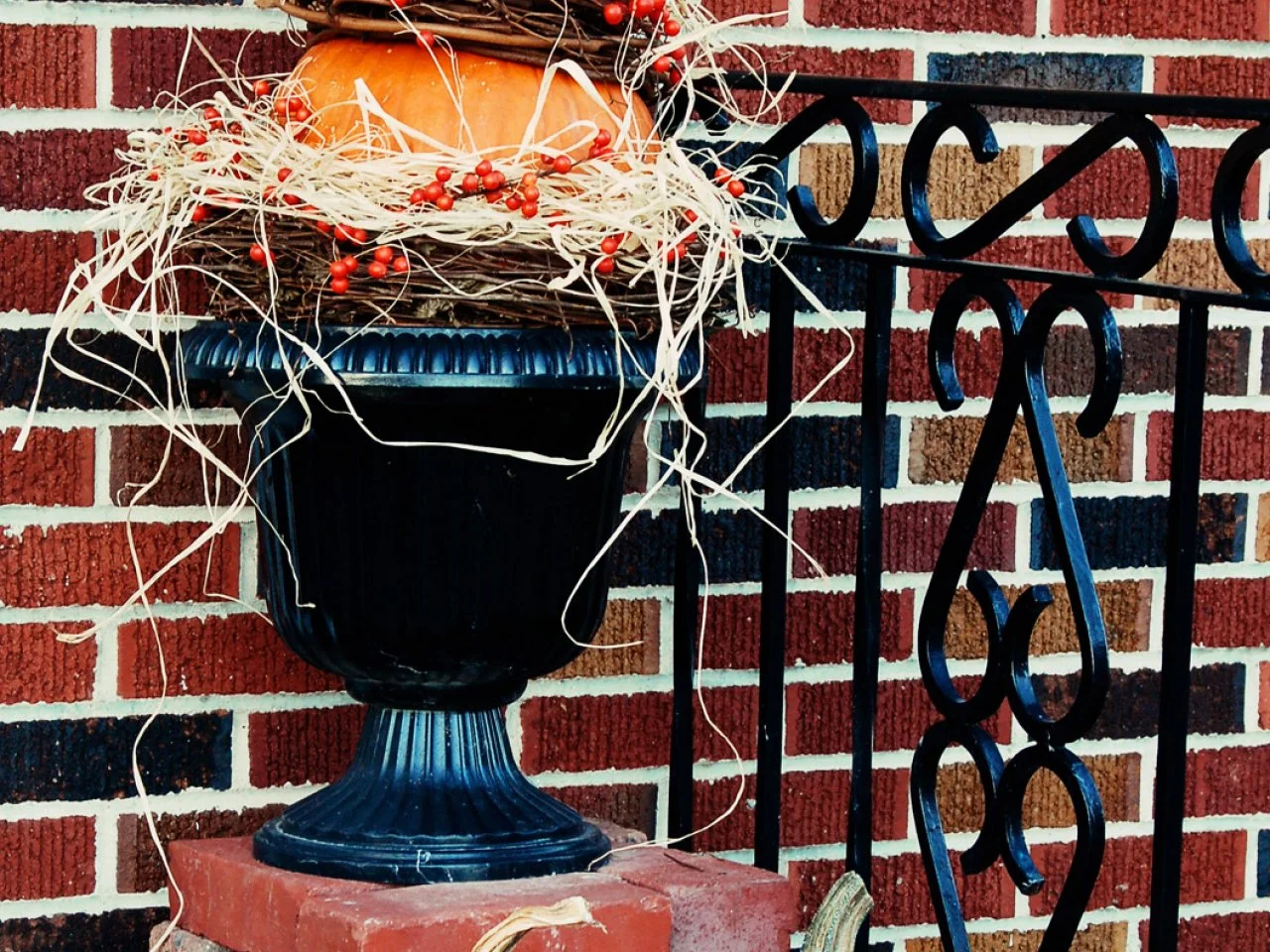 How to Make a Pumpkin Topiary | HGTV