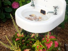 Sink Turned Bird Bath