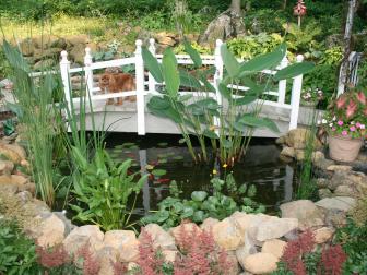 Bridge Over Backyard Pond