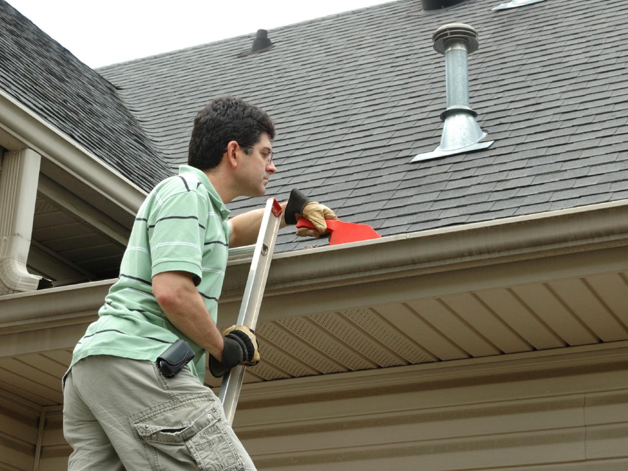 Gutter Cleaning