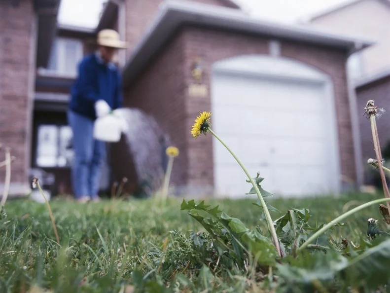 Killing Weeds