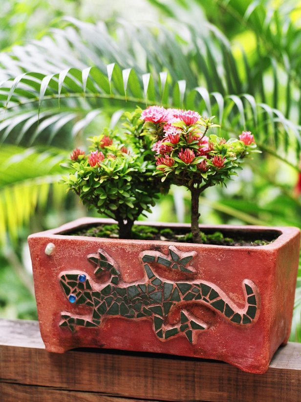 Lizard Pot Holds Tiny Plants With Red Flowers