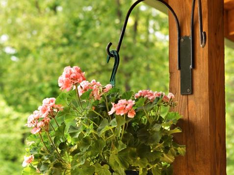 How to Support and Water Hanging Baskets