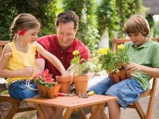 Young girl, boy and older man planting yellow flowers.