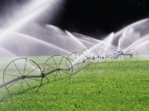 How to Conduct an Irrigation Audit