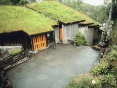 Rooftop gardening, or ecoroofs, are the newest way to garden. The benefits of ecoroofs are plenty and, best of all, a "green" roof is very interesting to look at, not to mention beautiful.