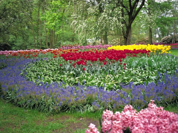 Colorful Garden in Circular Pattern