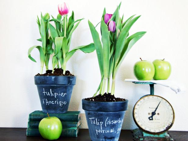 Pots with chalk labels