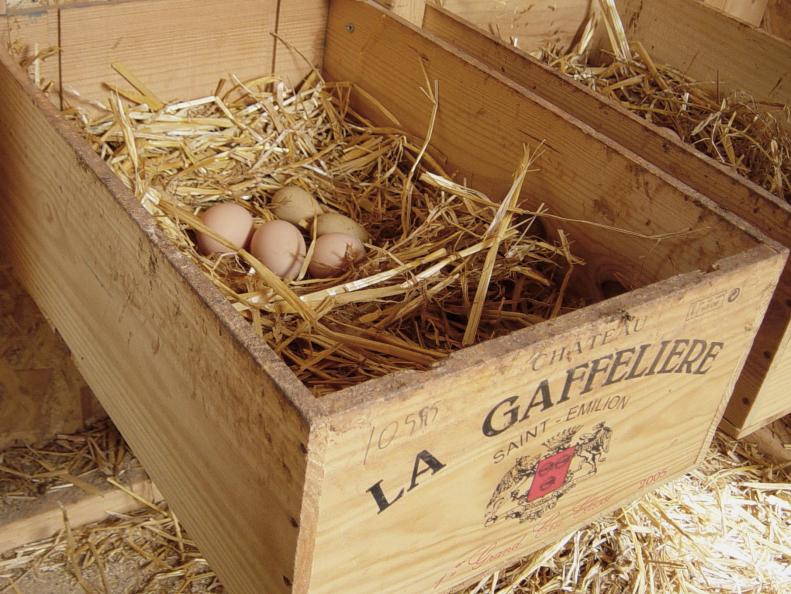 Nesting box made from a wire crate. 