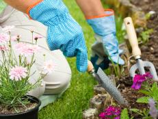 Use Trowel for Garden Maintenance