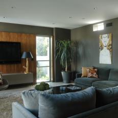 Modern Grey Living Room With Flat-Screen TV