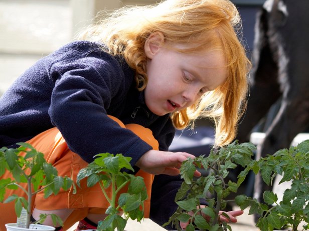 Kid Helping With Vegetable Garden