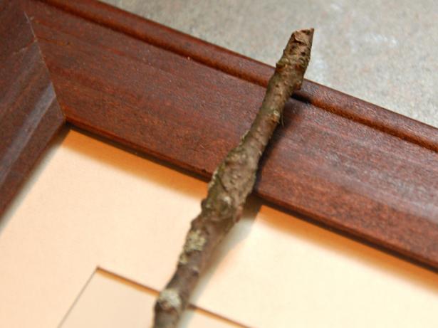 Measure Twig Against Frame Edge