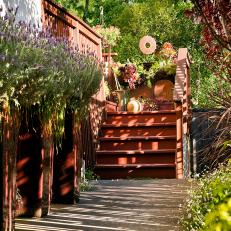 Shaded Deck Stairs With Container Plants