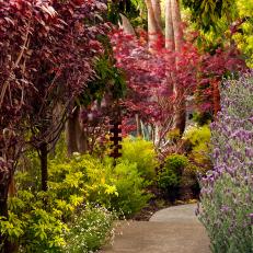 Lavish, Colorful Garden Walkway