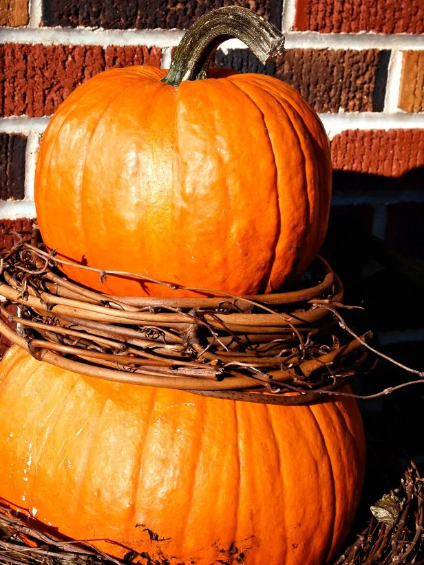 Position small pumpkin on top of large, gently pushing it onto the exposed wires. This will stabilize the topiary and hold the smaller pumpkin in place.