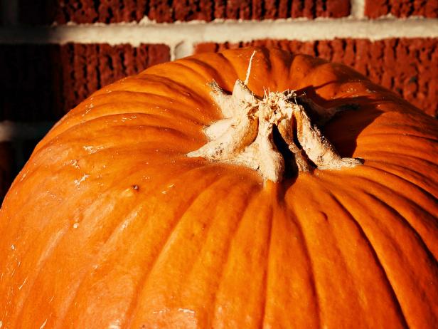 Break stem off large pumpkin.