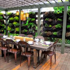 Outdoor Dining Area With Wood Pergola and Vertical Garden 